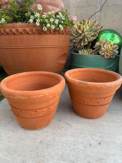 Medium sized terracotta planter