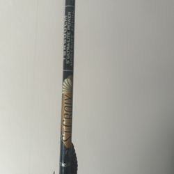 Fenwick And St Croix Rods 