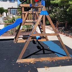 Backyard Discovery Briarcliff Swing Set


