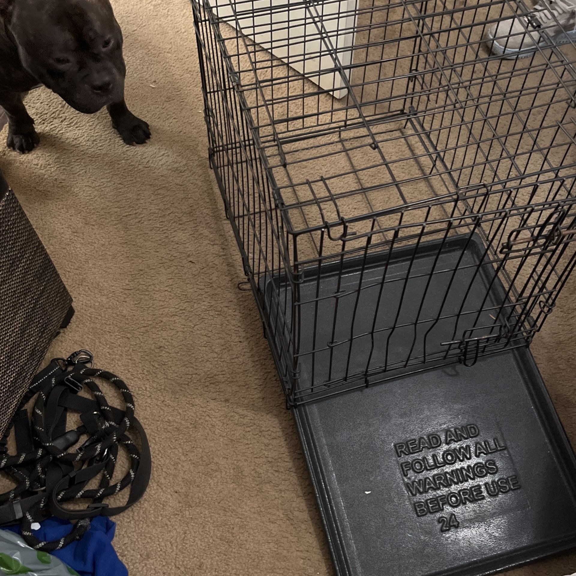 Medium Size Dog Kennel for Sale in Rancho Cordova, CA OfferUp