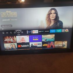 Samsung  Tv 65 Inch With Fire Stick 