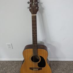 Takamine G Series (EG 240) Acoustic Guitar