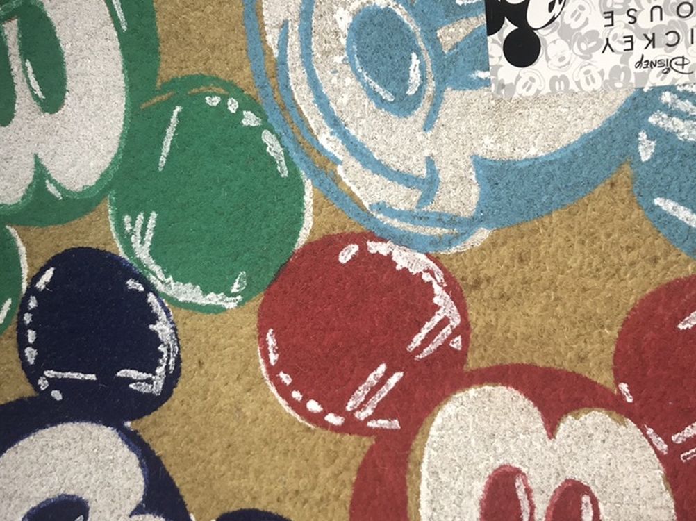 Disney Outdoor Mat