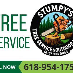 Madison And Saint Clair County Tree Work 