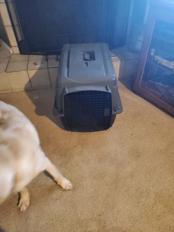 Dog Travel Kennel  Thumbnail