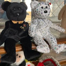 Beanie Babies the Beginning And The End