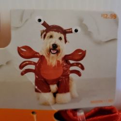 Halloween Costume For Dog