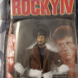 Rocky Collectors Series ( ROCKY 4 IN TRAINING GEAR)