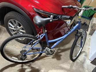 Nishiki Tamarach Womens Bike