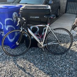 Specialized Allen Comp, Airplane Aluminum, Carbon Fork 