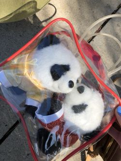 Baby pandas