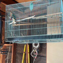 Bird Cage