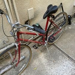 10 Speed Womens Bike 