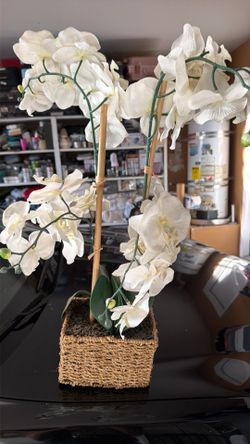 Planta artificial