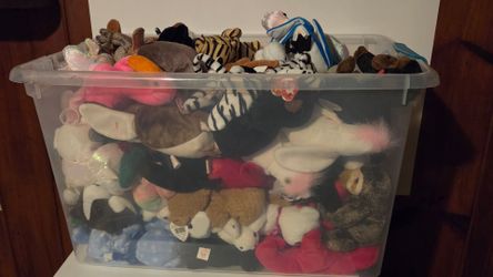 Make offers Nwt Box of Beanie Babies
