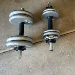 Work Out Weights 