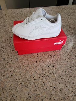 Pumas
