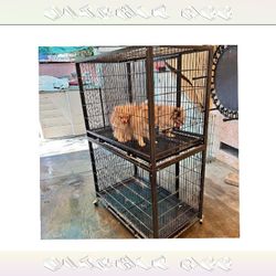 Pet Cages in Multiple Forms to Match All Pet Types source interesting