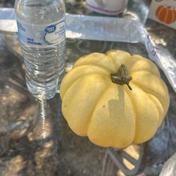 Decorative Pumpkins