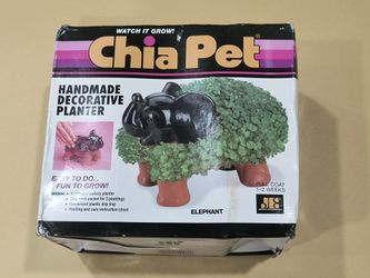 Chia Pet Elephant