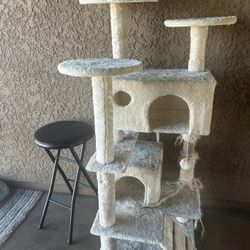 Used Cat Tree 
