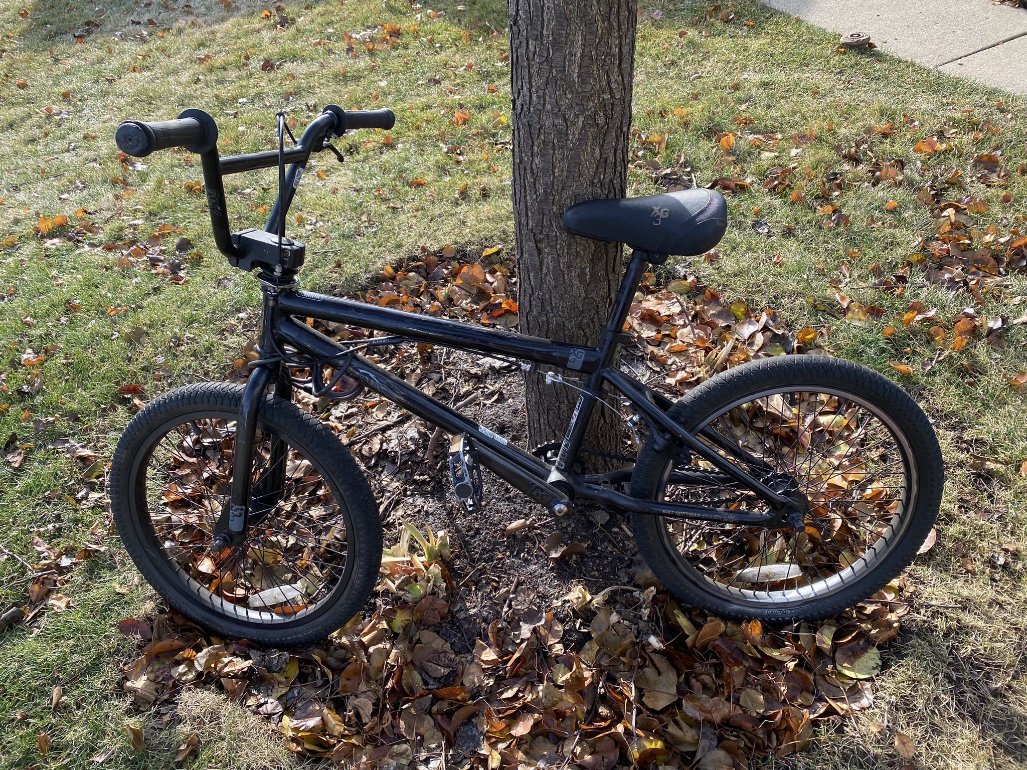 Matt Hoffman, Bmx Bike