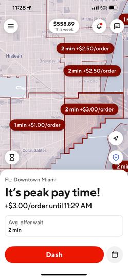 DoorDash Delivery 🚗 Bag