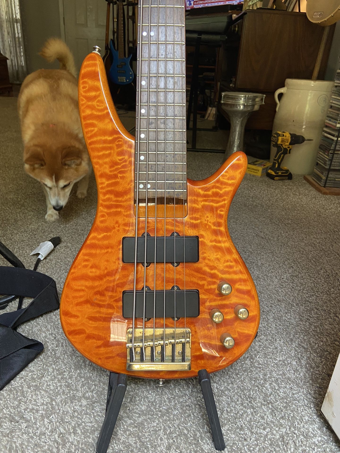 Carlos Robelli 6 String Bass Guitar