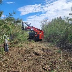 Skid Steer For Work 