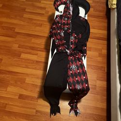 Child, small Jester, Halloween costume