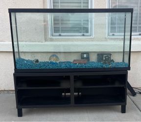 Large Glass Fish Tank with Black Stand
