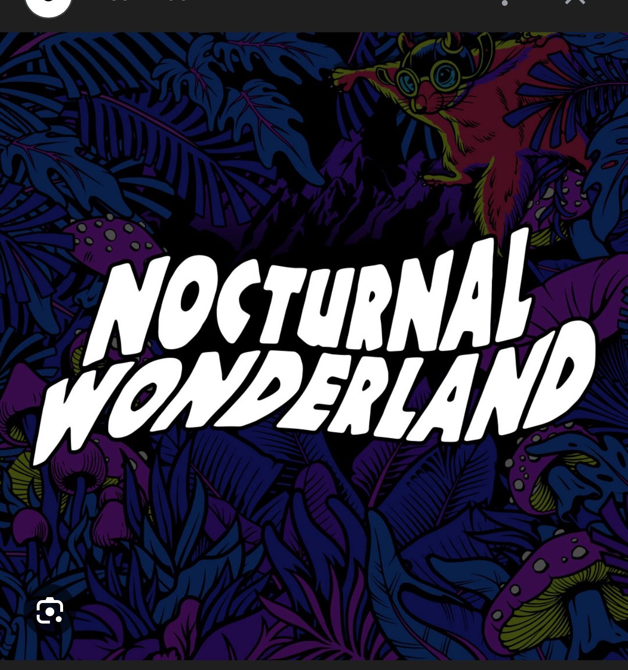Nocturnal Wonderland Tickets 