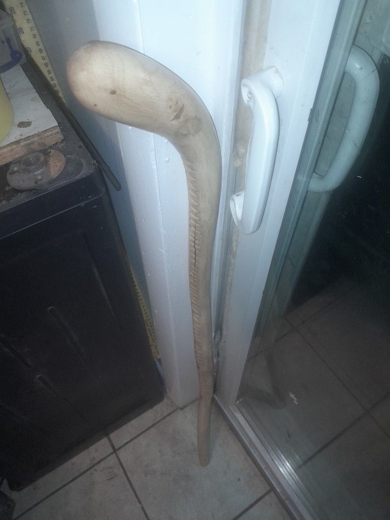 Swamp Oak American Street Shillelagh Walking Stick.