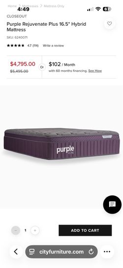 Purple rejuvenated plus 16.5