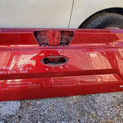 2018-20 Ford F150 Tailgate 