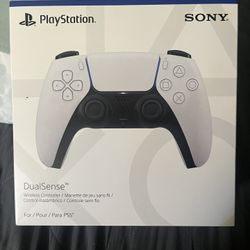 PS5 Controller 