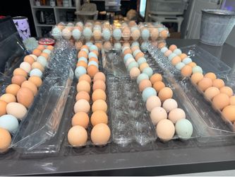 Organic eggs