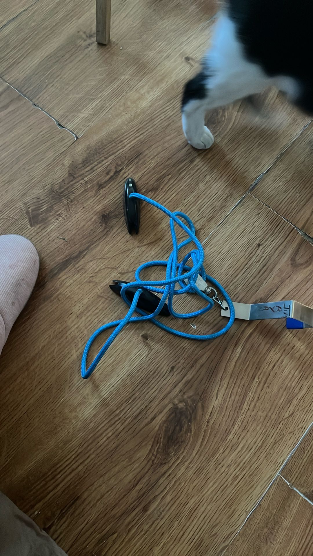 Over The Door Exercise Pullie