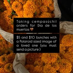 Cempasuchil Marigold Día De Los Muertos