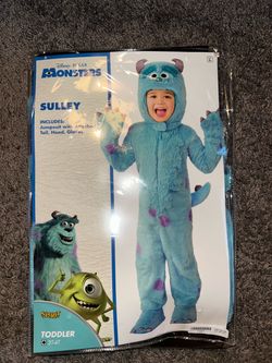 Spirit sully costume
