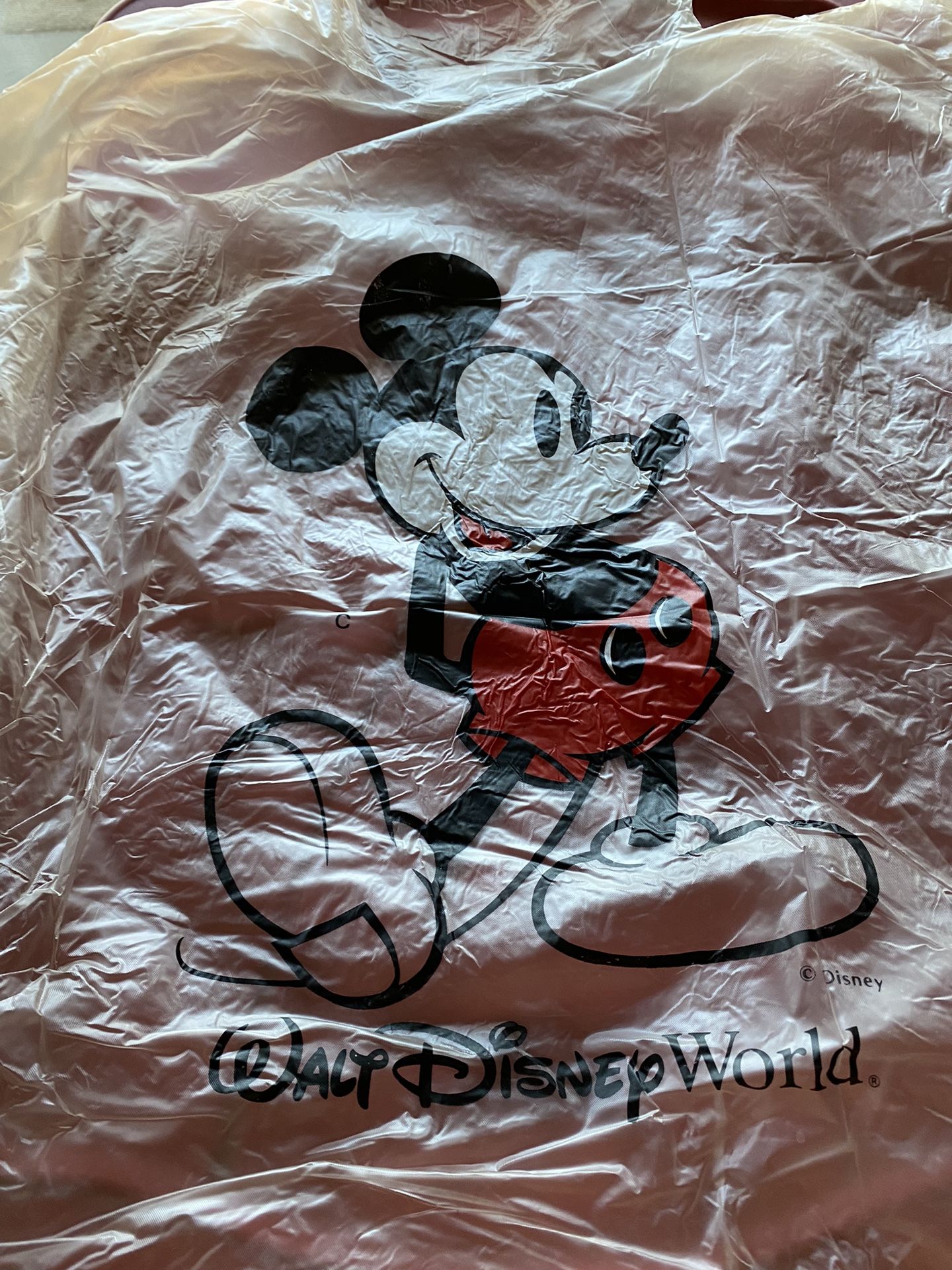 Disney Rain Ponchos