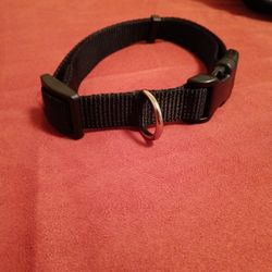 Brand New Medium Dog Collar