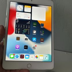 iPad Mini 4 64gb. Like New And Unlocked!