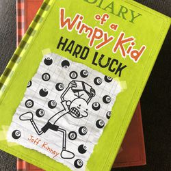 Diary Of A Wimpy Kid Books Set Of Two
