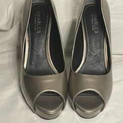 Charles Shoes Women’s Size 8.5