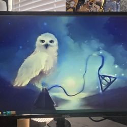 27" Monitor 