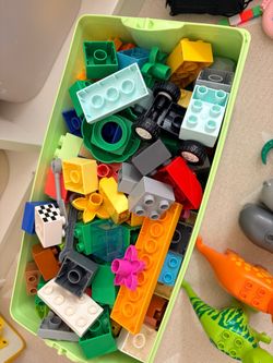 DUPLO Box with Animals