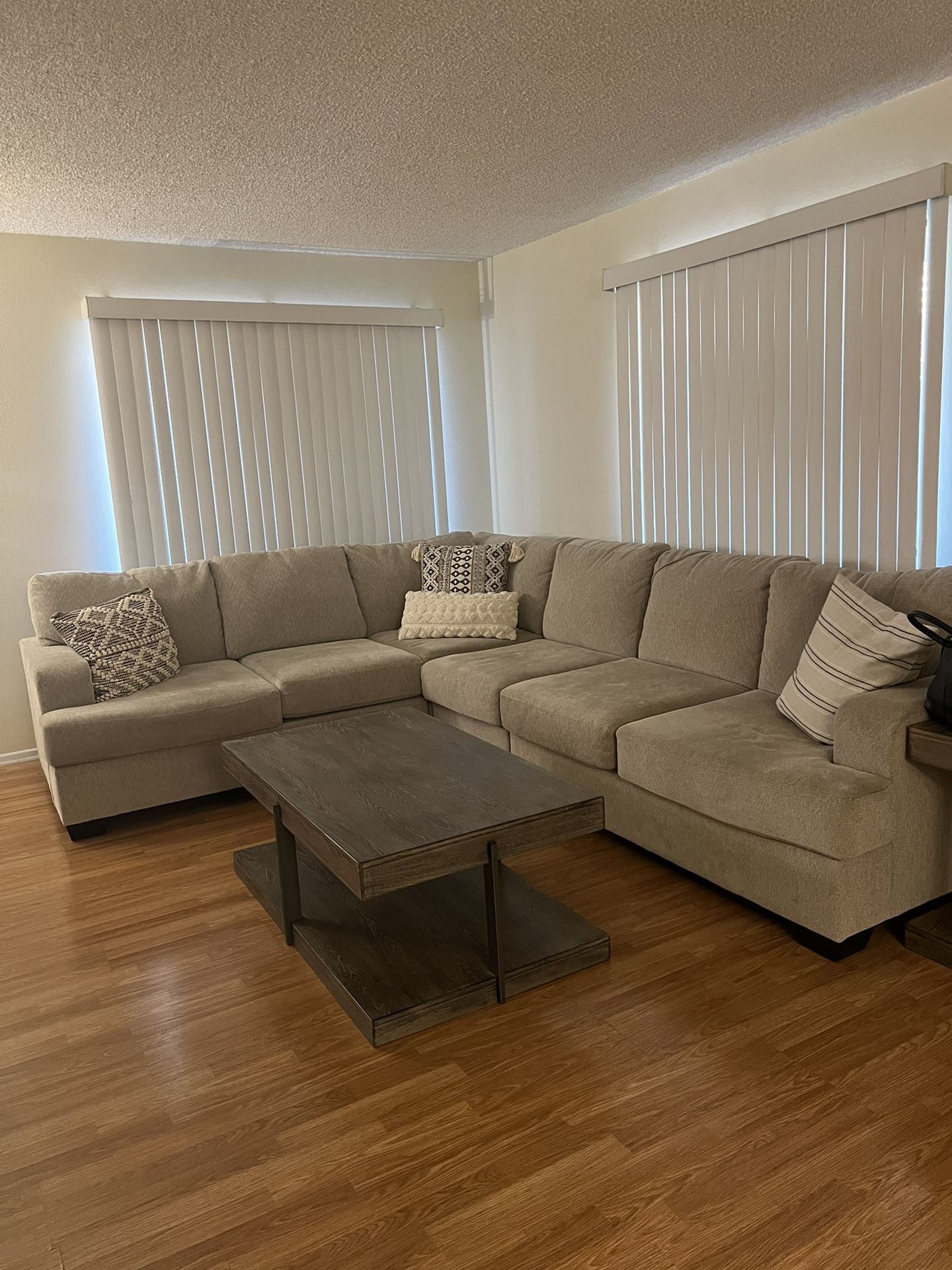 Sectional Beige Couches
