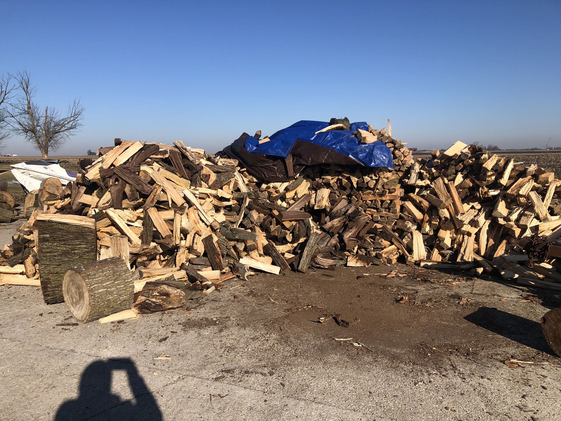 Firewood