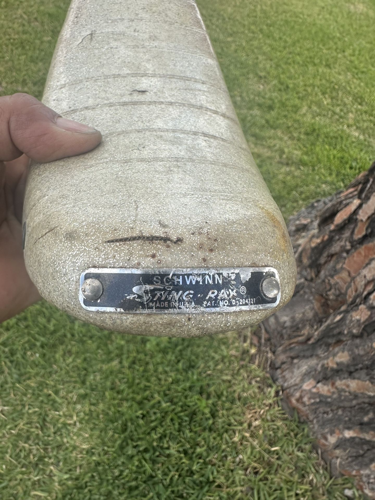 Showing Little Tiger Banana Seed